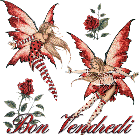 POUR TOUTES MES AMIES DE VIP